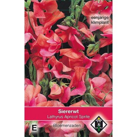 Lathyrus o. 'Apricot...