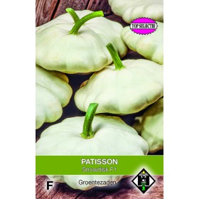 Patisson, Curcubita pepo...