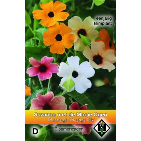 Thunbergia alata 'Prestige...